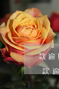 貸款逾期會不會去家里找(網(wǎng)上貸款逾期會不會找到老家)