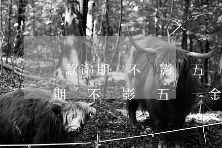 貸款逾期會不會影響五險一金繳納-貸款逾期會不會影響五險一金繳納呢