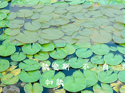 貸款逾期會不會自動扣款(銀行貸款到期會自動扣款嗎)