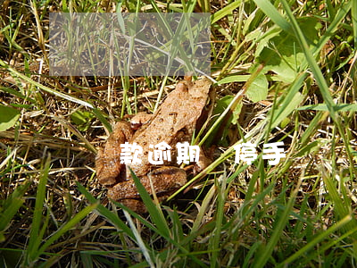 貸款逾期會停手機號碼(貸款逾期多久會打電話)