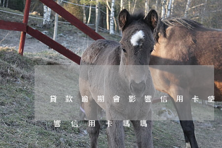 貸款逾期會影響信用卡使用嗎（貸款逾期會影響信用卡嗎嗎）