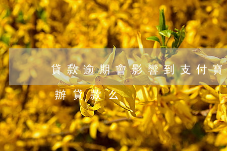 貸款逾期會影響到支付寶嗎(支付寶逾期影響辦貸款么)