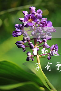 貸款逾期會影響孩子初中嗎-貸款逾期對孩子有影響嗎