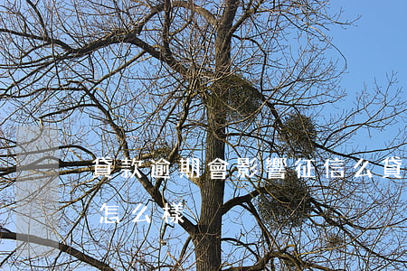 貸款逾期會影響征信么(貸款逾期影響征信會怎么樣)