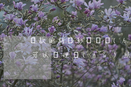 貸款逾期會影響辦護(hù)照嗎(征信逾期可以辦理護(hù)照嗎)