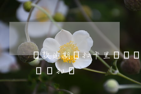 貸款逾期會扣卡里錢嗎(貸款逾期后卡里有錢還會扣嗎)