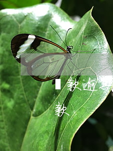 貸款逾期會有哪些影響嗎(逾期多久會影響貸款)