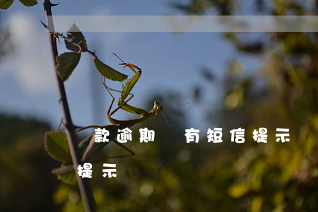 貸款逾期會有短信提示嗎(貸款逾期會有短信提示嗎)