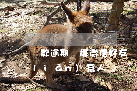 貸款逾期會爆微信好友嗎(逾期會爆微信聯(lián)系人嗎)
