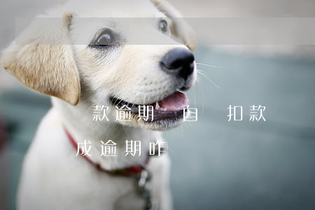 貸款逾期會自動扣款嗎(銀行沒有自動扣款造成逾期咋辦)