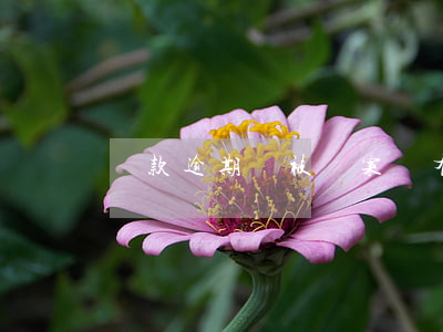 貸款逾期會被備案嗎(有一次逾期貸款有影響嗎?)
