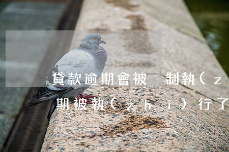 貸款逾期會被強制執(zhí)行嗎(房貸逾期被執(zhí)行了怎么辦)