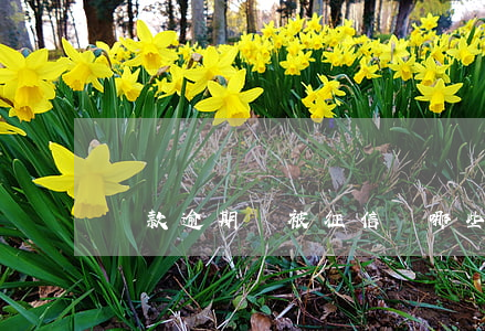 貸款逾期會被征信嗎(哪些貸款逾期會上征信)