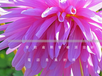 貸款逾期會被派出所傳喚(貸款逾期公安局打電話是真的嗎)