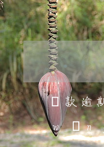 貸款逾期會被網(wǎng)上通緝嗎(網(wǎng)貸逾期多久會進入黑名單)