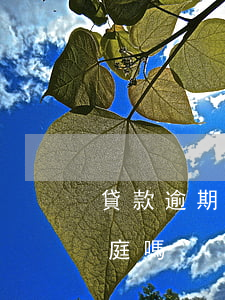 貸款逾期會起訴嗎（信用貸款逾期被起訴要出庭嗎）