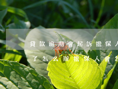 貸款逾期會起訴擔保人嗎(貸款逾期被法院告了怎么辦擔保人會怎么樣)