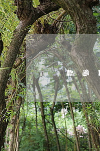 貸款逾期會逮捕嗎 貸款逾期會拘留嗎