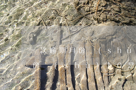 貸款逾期月份數(shù)11(貸款逾期月份數(shù)10是什么意思)