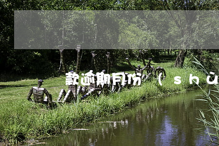 貸款逾期月份數(shù)17