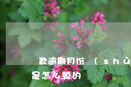 貸款逾期月份數(shù)指什么(貸款逾期是怎么算的)