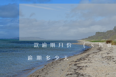 貸款逾期月份數(shù)貸款(正常類貸款逾期多少天)