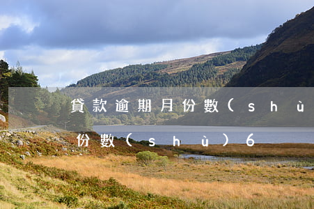 貸款逾期月份數(shù)過多(貸款逾期月份數(shù)6)