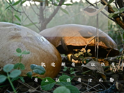 貸款逾期有上征信有什么影響嗎-貸款逾期有上征信有什么影響嗎知乎