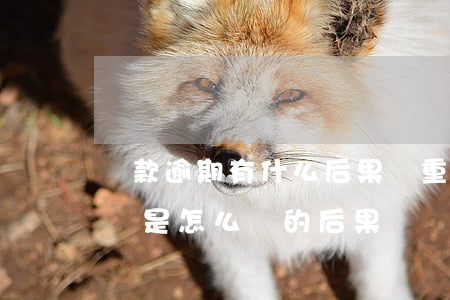 貸款逾期有什么后果嚴重(請問貸款逾期還款會是怎么樣的后果)