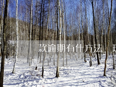 貸款逾期有什方法處理(貸款逾期有什方法處理)
