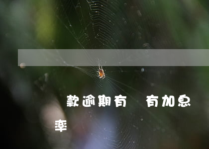 貸款逾期有沒有加息罰息(逾期貸款的罰息利率)