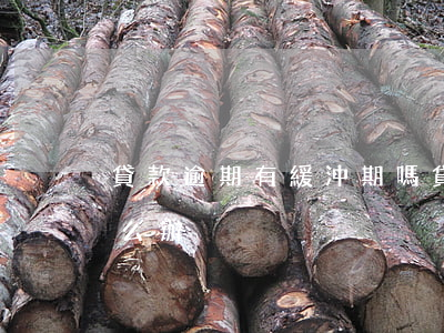 貸款逾期有緩沖期嗎(貸款逾期有緩沖期嗎怎么辦)