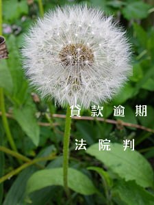 貸款逾期有被強制執(zhí)行(貸款逾期,法院判決后會立即強制執(zhí)行嗎?)