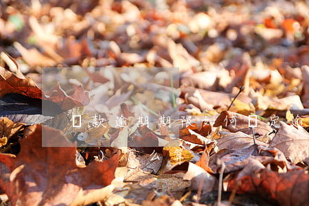 貸款逾期期限如何確定(逾期貸款天數(shù)怎么算)