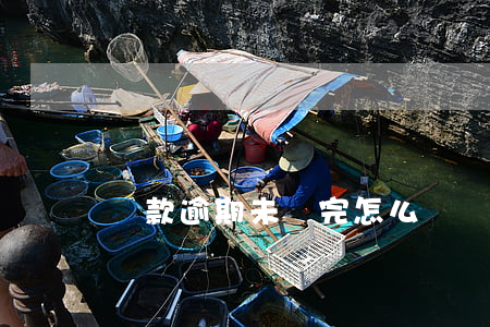 貸款逾期未還完怎么辦(貸款逾期未還完怎么辦)