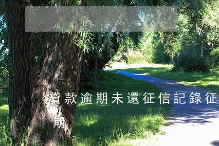 貸款逾期未還征信記錄(征信有借款記錄沒逾期)