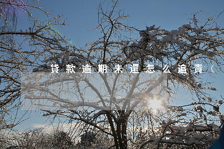 貸款逾期未還怎么追責(zé)