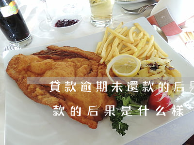 貸款逾期未還款的后果是什么(貸款逾期未還款的后果是什么樣)