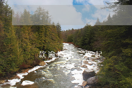 貸款逾期未還要起訴狀