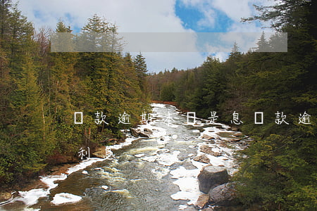 貸款逾期本還是息(貸款逾期是先還本金還是利息)