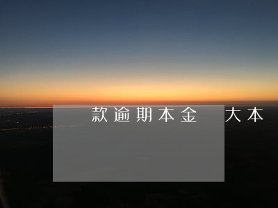 貸款逾期本金（壓大本貸款逾期）