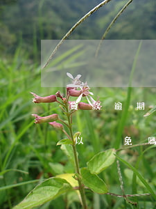 貸款逾期本金減免正常嗎-逾期貸款利息可以減免嗎