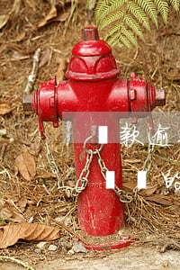 貸款逾期本金與逾期利息(金融借款逾期之后,償還的是本金還是利息)