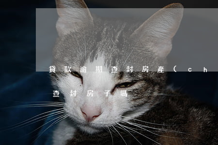 貸款逾期查封房產(chǎn)(貸款逾期會查封房子嗎)