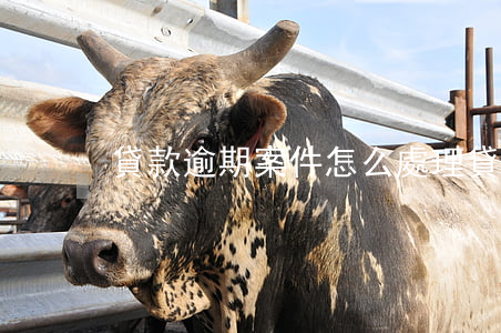 貸款逾期案件怎么處理(貸款逾期處理流程)