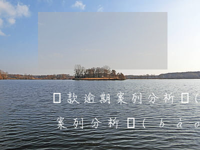 貸款逾期案列分析報(bào)告(貸款逾期案列分析報(bào)告)