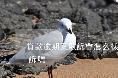 貸款逾期案敗訴會怎么樣(生意貸逾期會被起訴嗎)