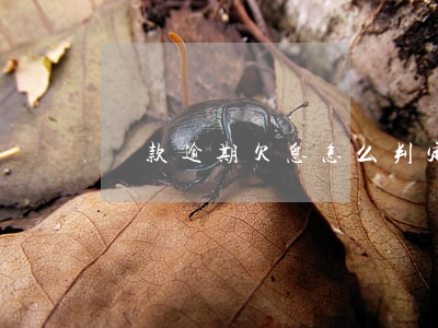 貸款逾期欠息怎么判定(貸款欠息算逾期嗎)