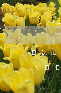 貸款逾期次日補(bǔ)上后(貸款逾期還款怎樣補(bǔ)上)