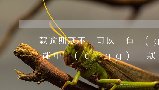 貸款逾期款不還可以嗎(有過(guò)逾期還能申請(qǐng)貸款)
